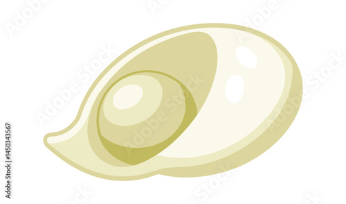 Single soybean seed illustration isolated on white