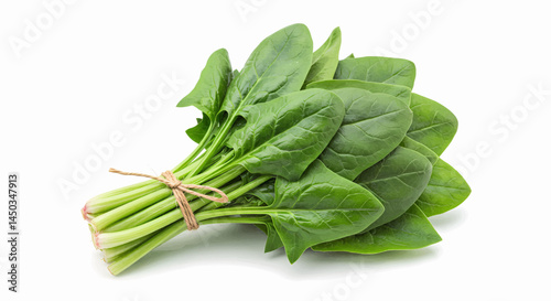 A bunch of fresh spinach is centered on a transparent white background. The spinach leaves are bright dark green. Vector Illustration