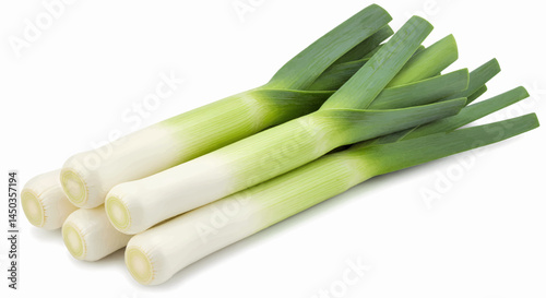 A bunch of four whole leeks stacked together, their root tips white, the background translucent white. Vector Illustration