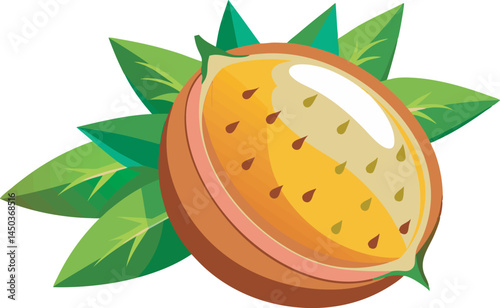 A vibrant vector art illustration of mamoncillo, also known as Spanish lime, showcasing its green skin, juicy pulp, and tropical appeal.