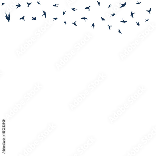 Birds Fly in the Air Vector