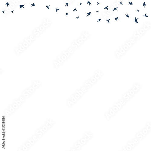 Birds Fly in the Air Vector