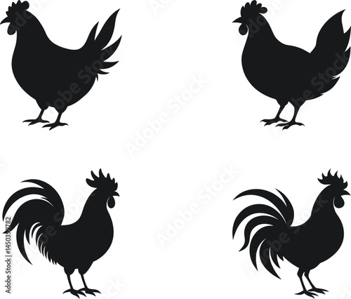 Chicken And Rooster Black Silhouettes Vector Set Bundle Illustration Collection