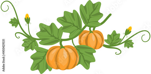 Autumnal Pumpkin Vine with Lush Green Leaves and Orange Pumpkins