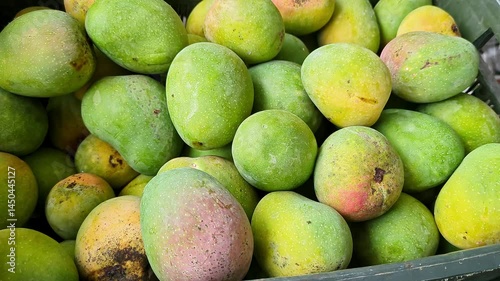 Close-up shot of Malgova or Malgoa or Mulgoba indian mangoes on display for sale