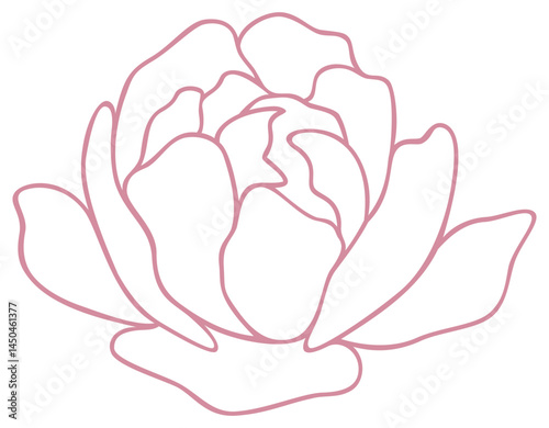 Peony Flower | Vector Line Art