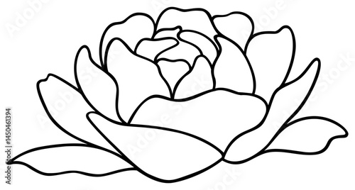 Peony Flower | Vector Line Art