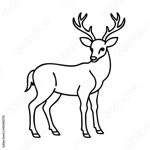 whitetail deer icon, whitetail deer line art - simple line art of whitetail deer, perfect for whitetail deer logos and icons