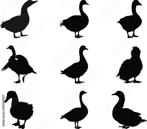 Goose Silhouette Set Bird Collection Duck Bundle Wildlife Group Vector Graphics