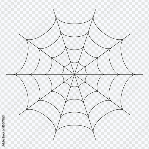 Outline Spider Icon – Vector Designs for Web Themes