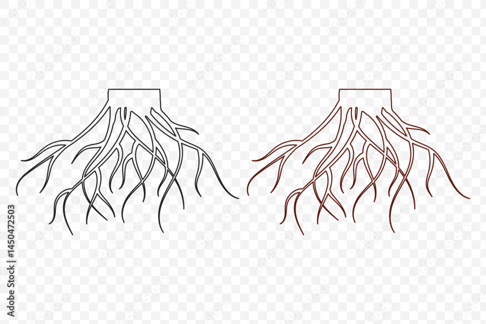 Fototapeta premium Illustration vector graphic of abstract life root on white background vector logo design template. EPS 10.