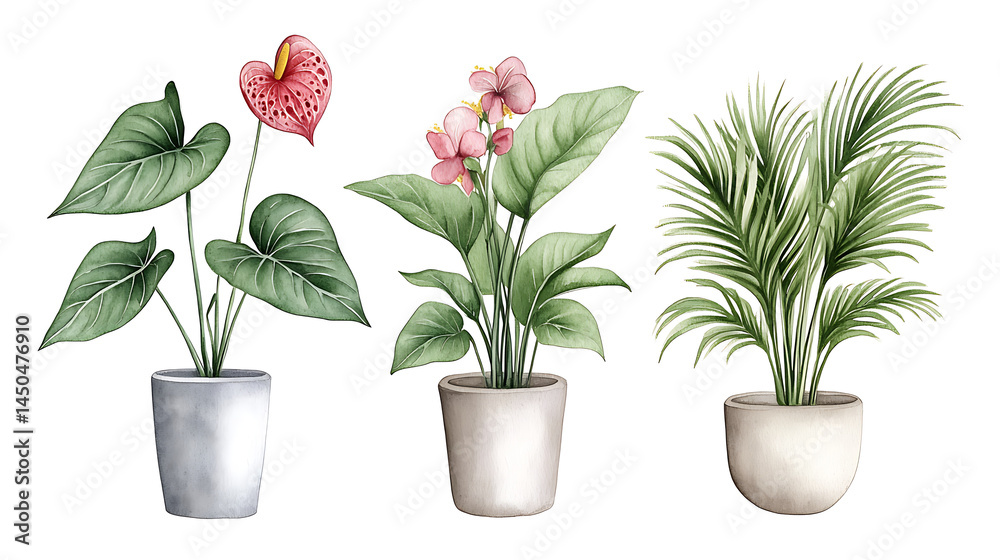 Fototapeta premium Watercolor illustration anthurium, fuchsia, quince flowers, palm, dracaena and calathea isolated, tropical plant drawing
