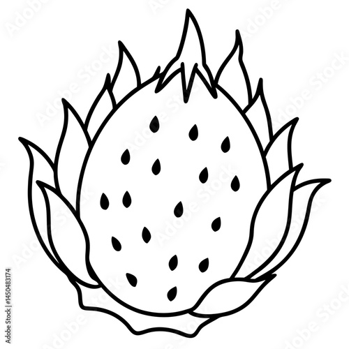 Minimal Dragonfruit Vector on White