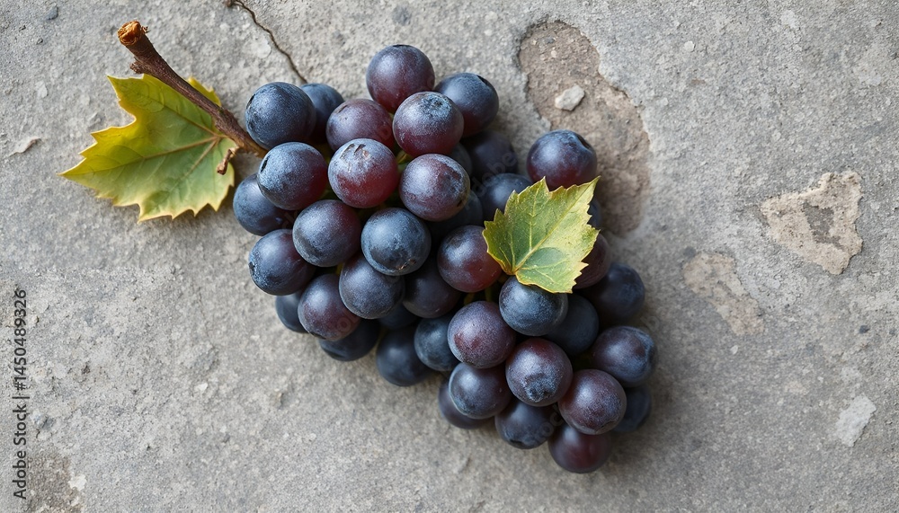 Fresh bunch of dark grapes with green leaves on concrete surface