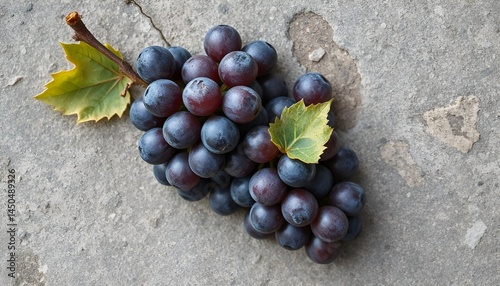 Obraz na płótnie Fresh bunch of dark grapes with green leaves on concrete surface
w salonie