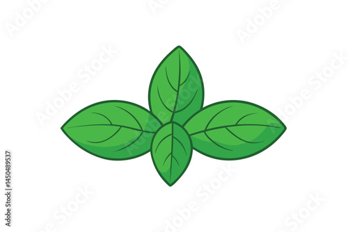 Basil Vegetable Vector Illustration on White Background

