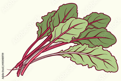 Beet Greens Vegetable Vector Illustration on White Background

