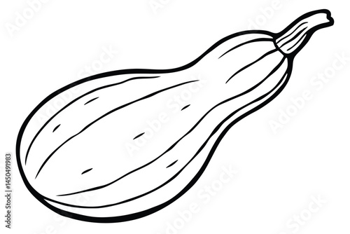 Bottle Gourd Vegetable Vector Illustration on White Background

