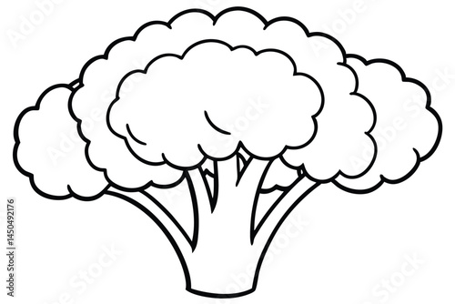Broccoli Vegetable Vector Illustration on White Background

