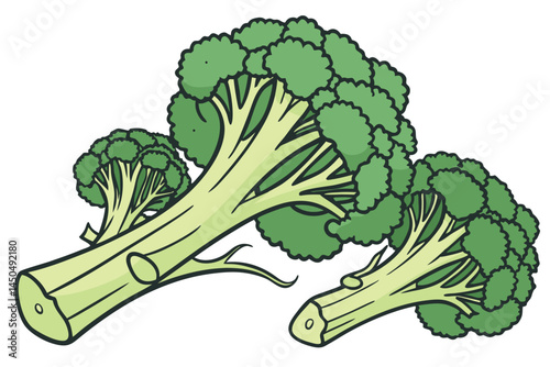Broccoli Vegetable Vector Illustration on White Background

