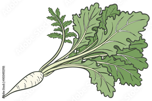 Carrot Vegetable Vector Illustration on White Background

