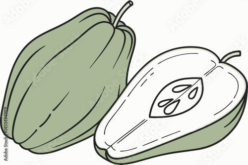 Chayote Vegetable Vector Illustration on White Background

