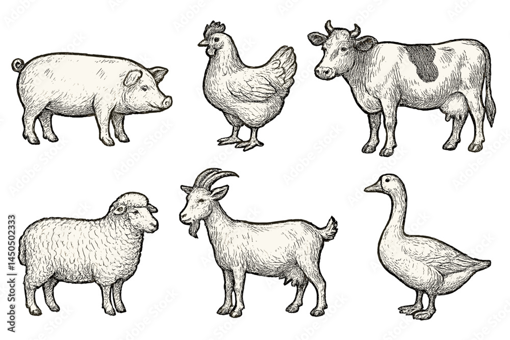 Αυτοκόλλητο Farm animals illustrated in detailed flat vector style showcasing pig, chicken,