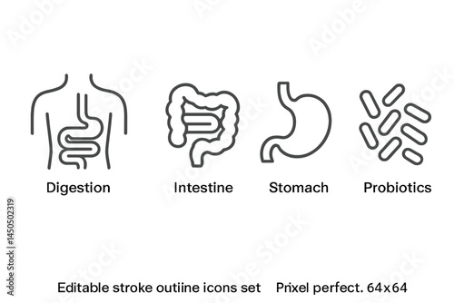 Flat vector illustration of digestive system elements including intestine, stomach, and probiotics in simple style