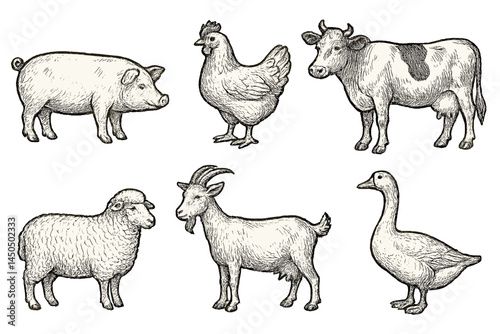 Farm animals illustrated in detailed flat vector style showcasing pig, chicken, cow, sheep, goat, and goose