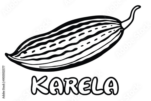 Karela Bitter Gourd Vegetable Vector Illustration Isolated on White Background

