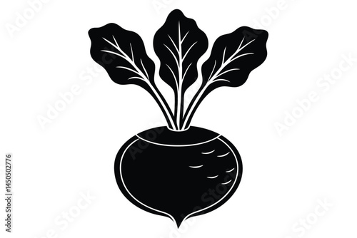 Kohlrabi Vegetable Vector Illustration Isolated on White Background

