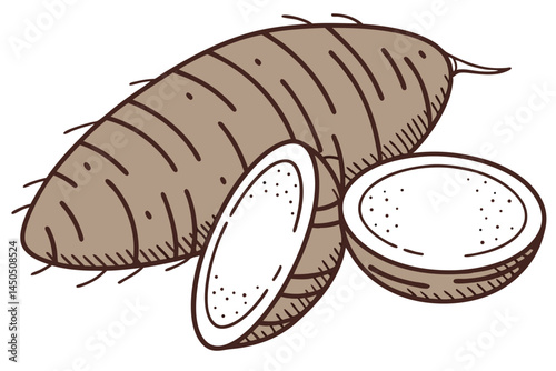 Taro Vegetable Vector Illustration Isolated on White Background


