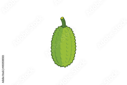 Teasel Gourd Vegetable Vector Illustration Isolated on White Background

