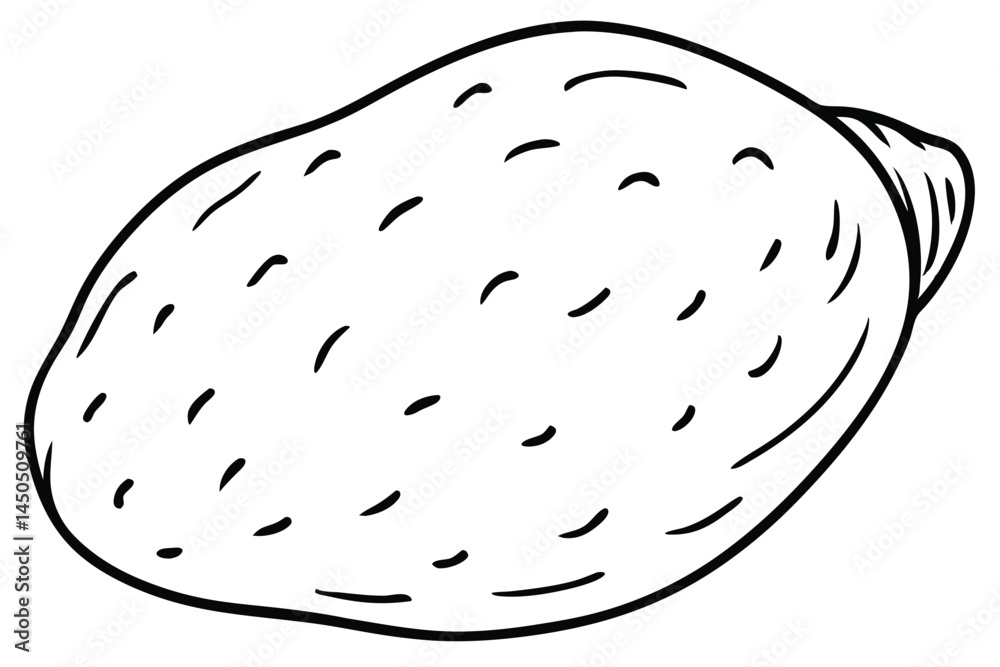 Yam Vegetable Vector Illustration Isolated on White Background
Yam Vegetable Vector Illustration Isolated on White Background