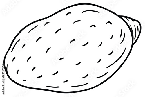 Yam Vegetable Vector Illustration Isolated on White Background

