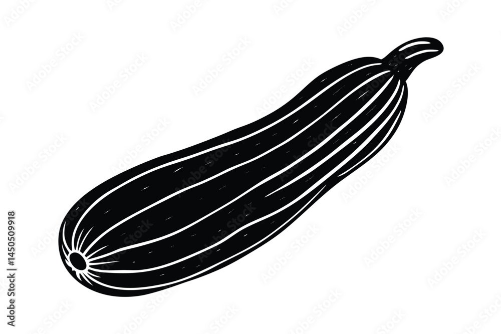 Zucchini Vegetable Vector Illustration Isolated on White Background
Zucchini Vegetable Vector Illustration Isolated on White Background
