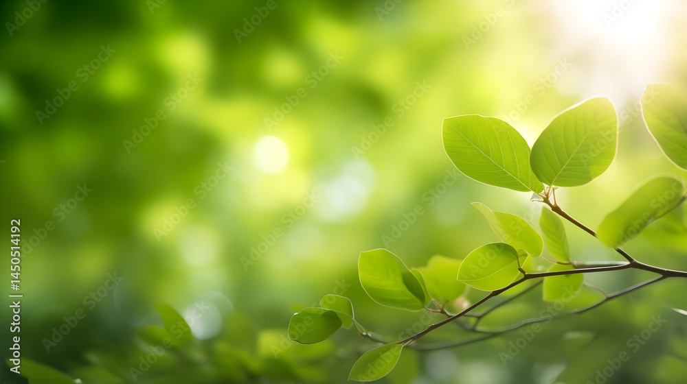 Naklejka premium A green leaf with a brown stem against a blurred green background.