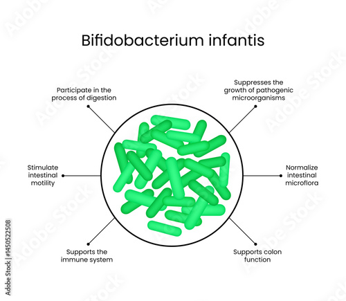 Bifidobacterium infantis Benefits for Gut Health