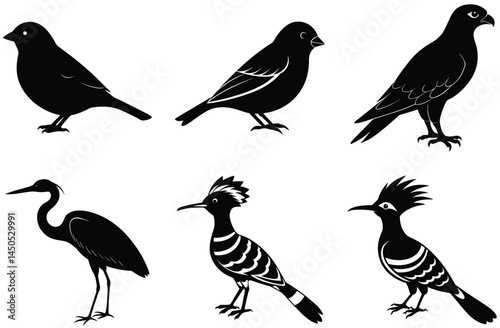 A collection of black and white silhouette illustrations of different bird species.