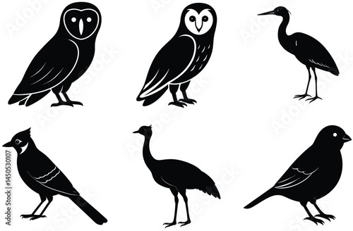 This image showcases a collection of bird silhouettes in a clean, simple design.