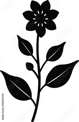 arctic willow flower silhouette vector on white 
