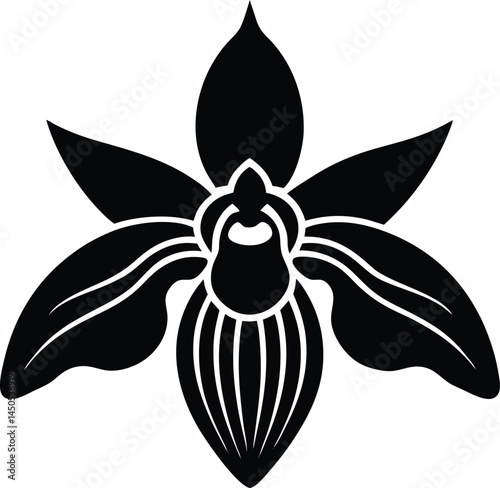 bee orchid flower silhouette vector on white 