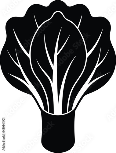bok choy silhouette vector illustration on white