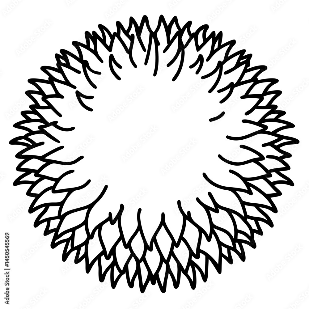 Minimal Rambutan Vector on White Minimal Rambutan Vector on White