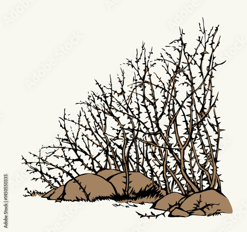 Vector drawing. The thorn bushes