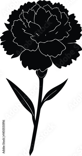 carnation flower silhouette vector on white 