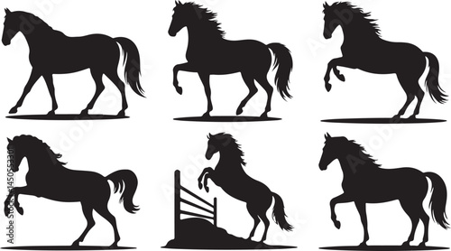 Horse Silhouette Vector Collection for Equestrian, Animal, and Sports Design