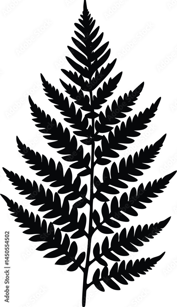 cinnamon fern silhouette vector on white cinnamon fern silhouette vector on white