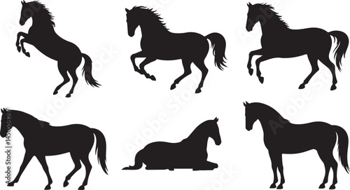Horse Silhouette Vector Collection for Equestrian, Animal, and Sports Design