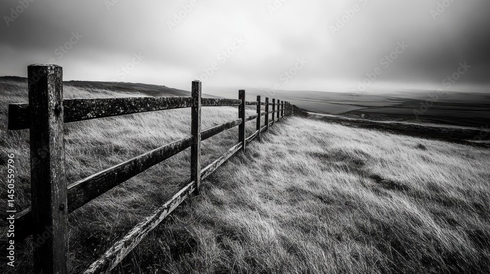 Fototapeta premium Monochrome rural landscape with weathered fence.